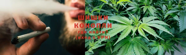 кокс Арсеньев