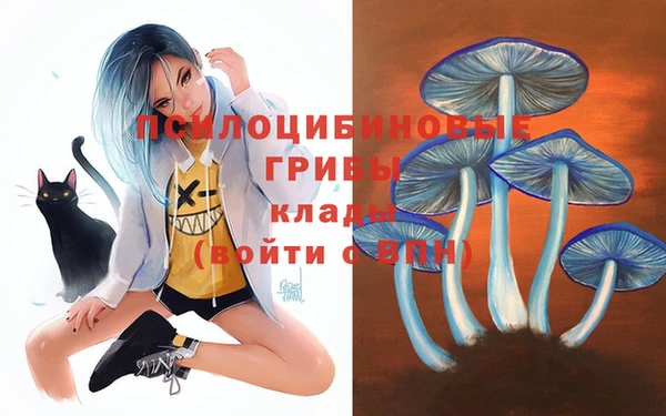 сатива Баксан